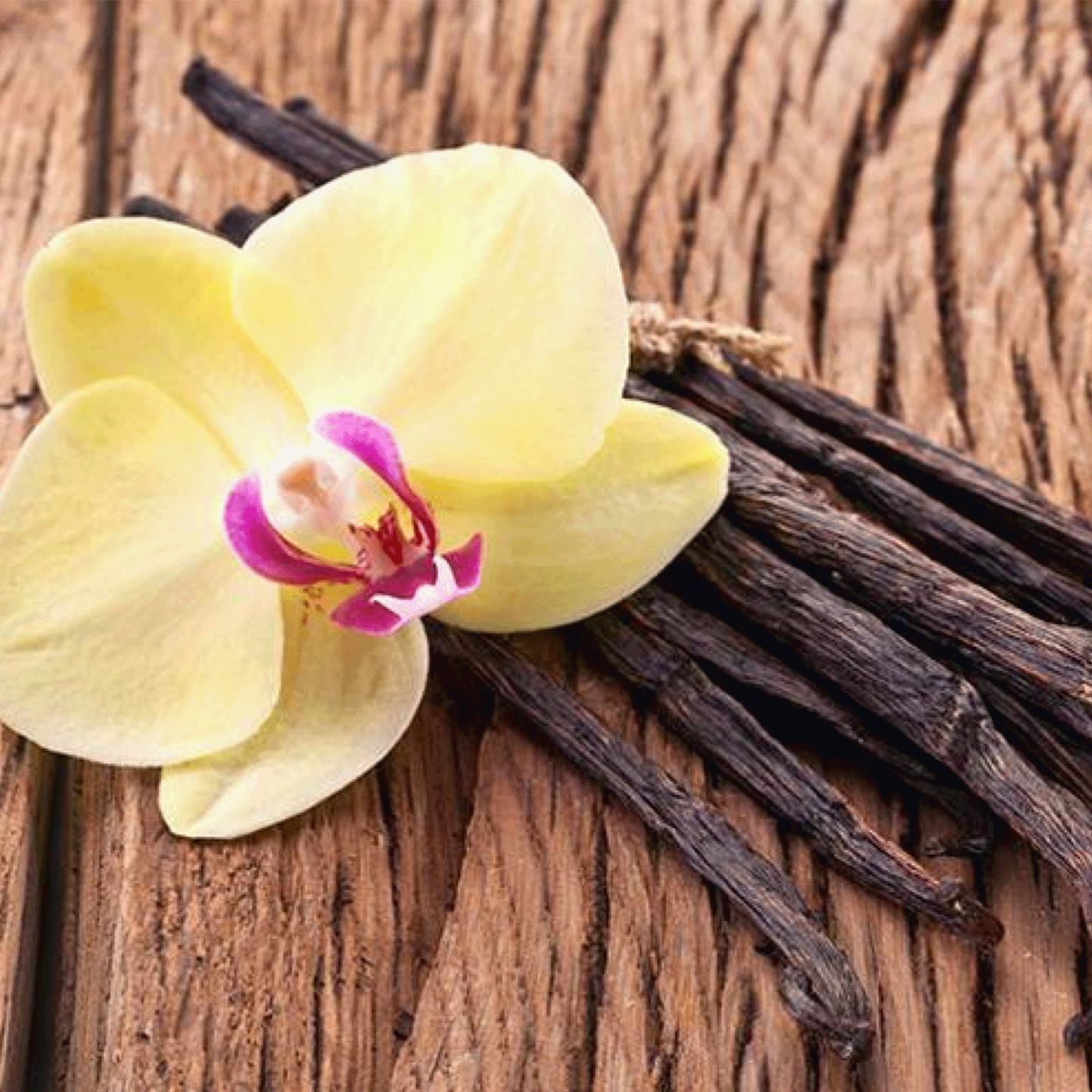 KERZE in Glas Bambus.